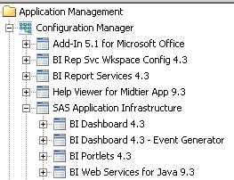 BI Web Services for Java 9.3