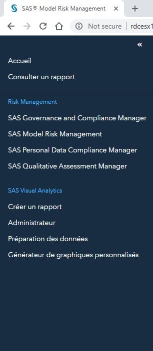 SAS Risk Governance Framework menu