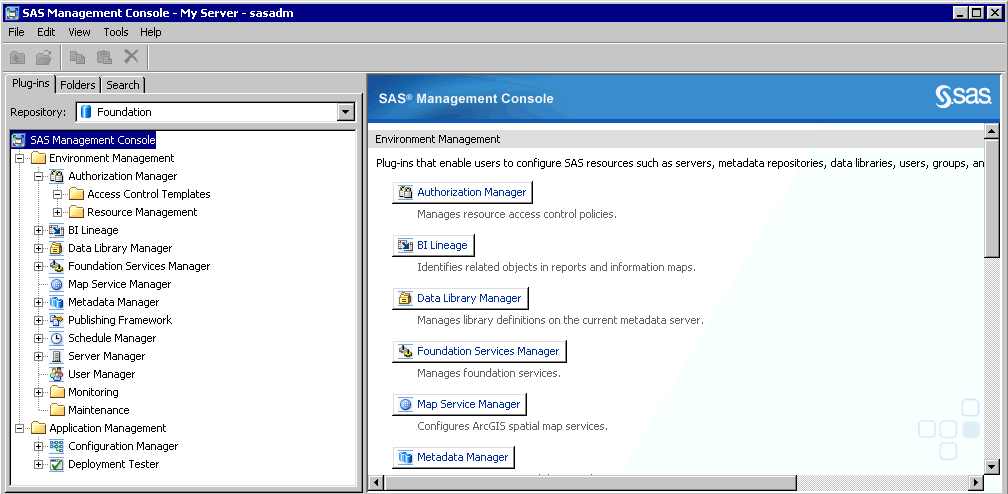 Capture of SAS Management Console