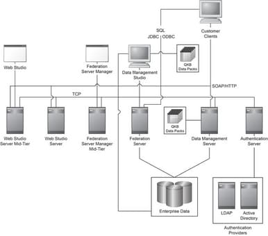 Enterprise Solutions and the DataFlux Data Management Server