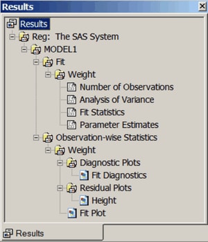 SAS Results Window