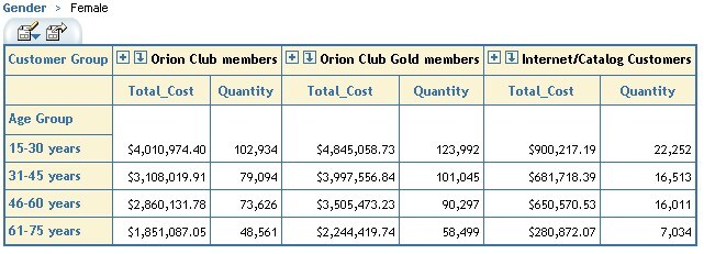 Table showing results of sorting Customer Group in descending order