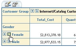 Table showing the drilldown icon for Female highlighted