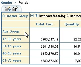 Table showing the results of drilling down on Female