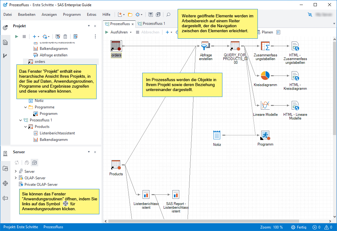 Der Arbeitsbereich in SAS Enterprise Guide