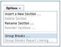 Selecting 'Group Breaks'