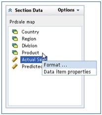 Selecting Format in the Section Data panel