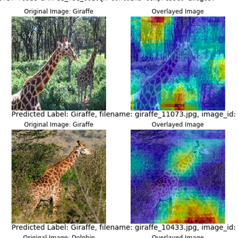 Heat maps generated using the score results from a Convolutional Neural Network 